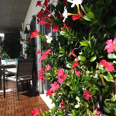 Mshomes Ii Apartman Albufeira